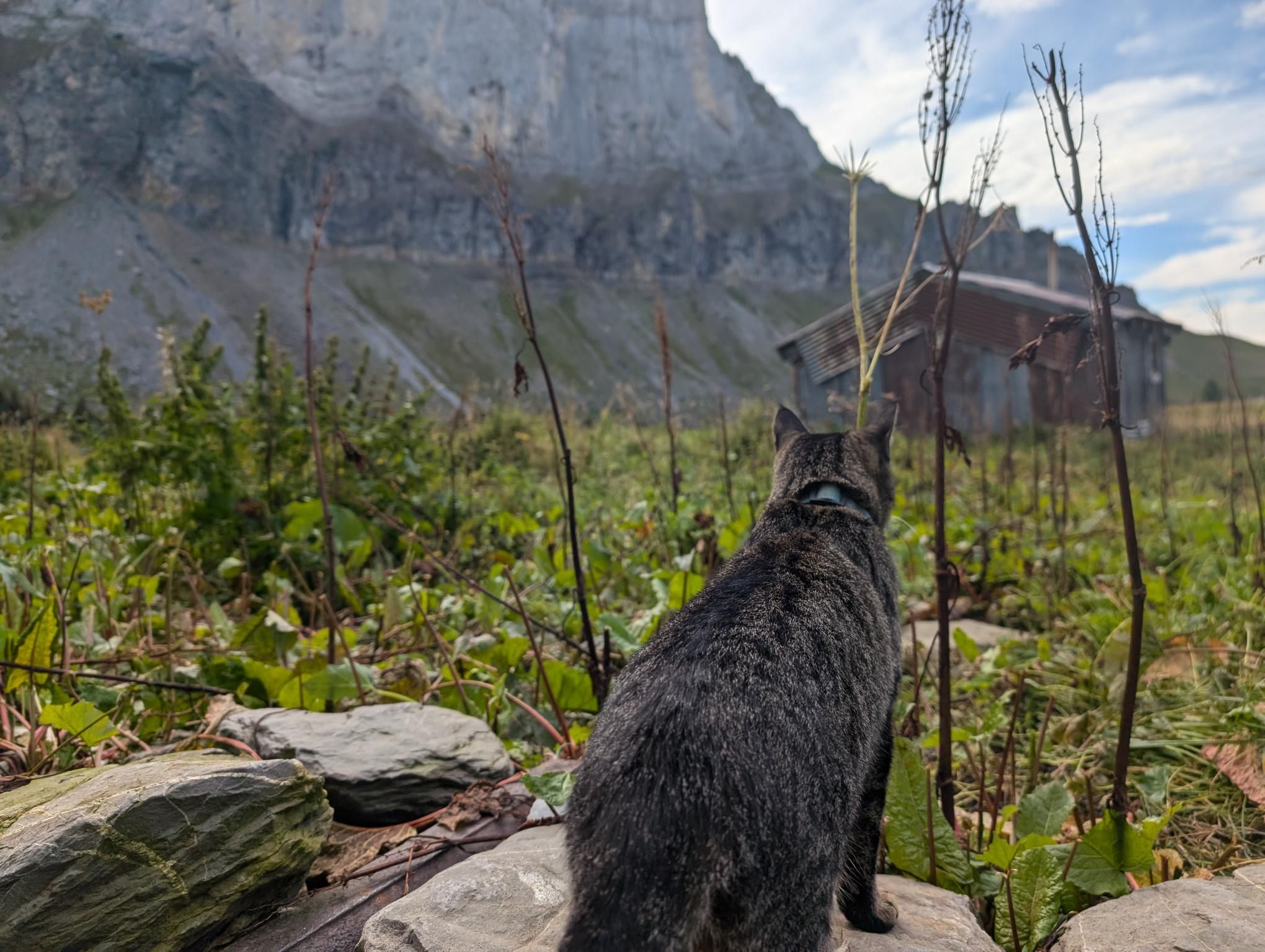 GR 5 Part 1 - Day 6 photo 21