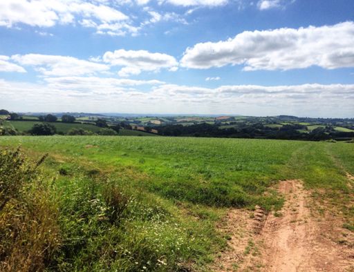 Sunny Devonshire hills
