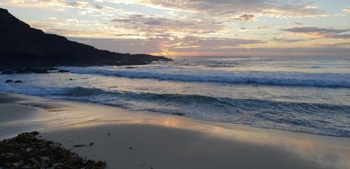 Morning beach walk Forster