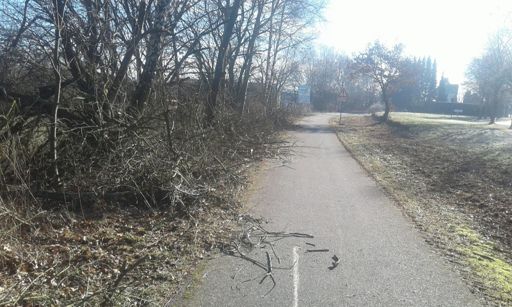 Schinderhannesradweg bei Alterkülz 😧
