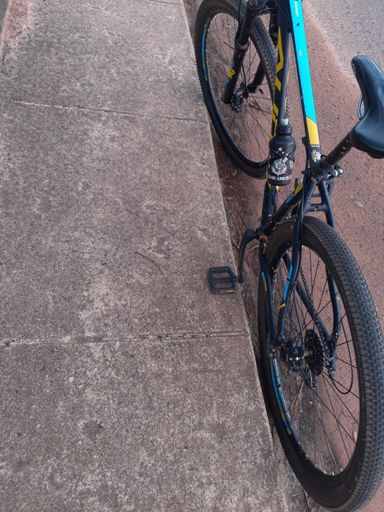 Palmeiras Ñ tem mundial!!!