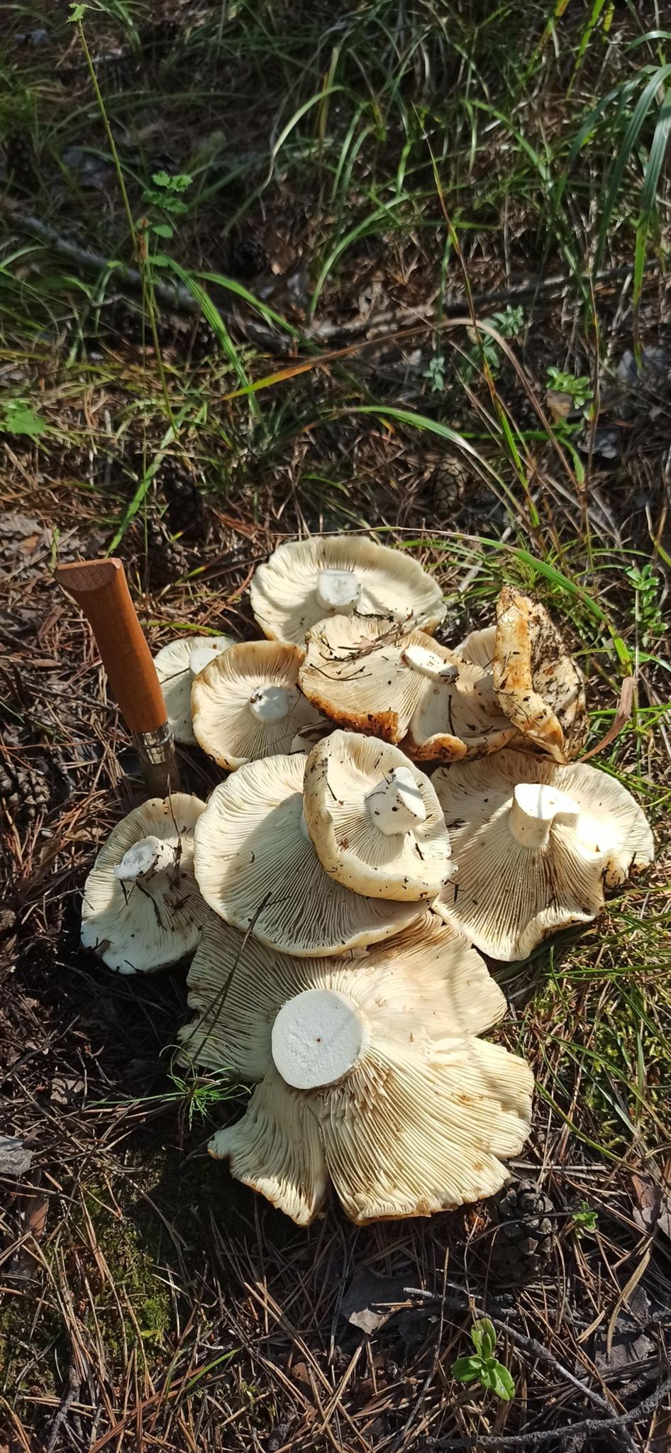 30 day spin bike challenge