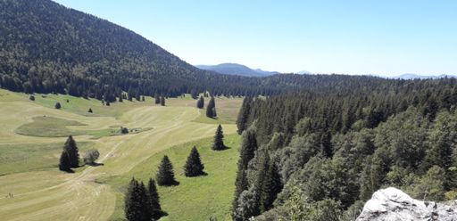 Plaine  d herbouilly