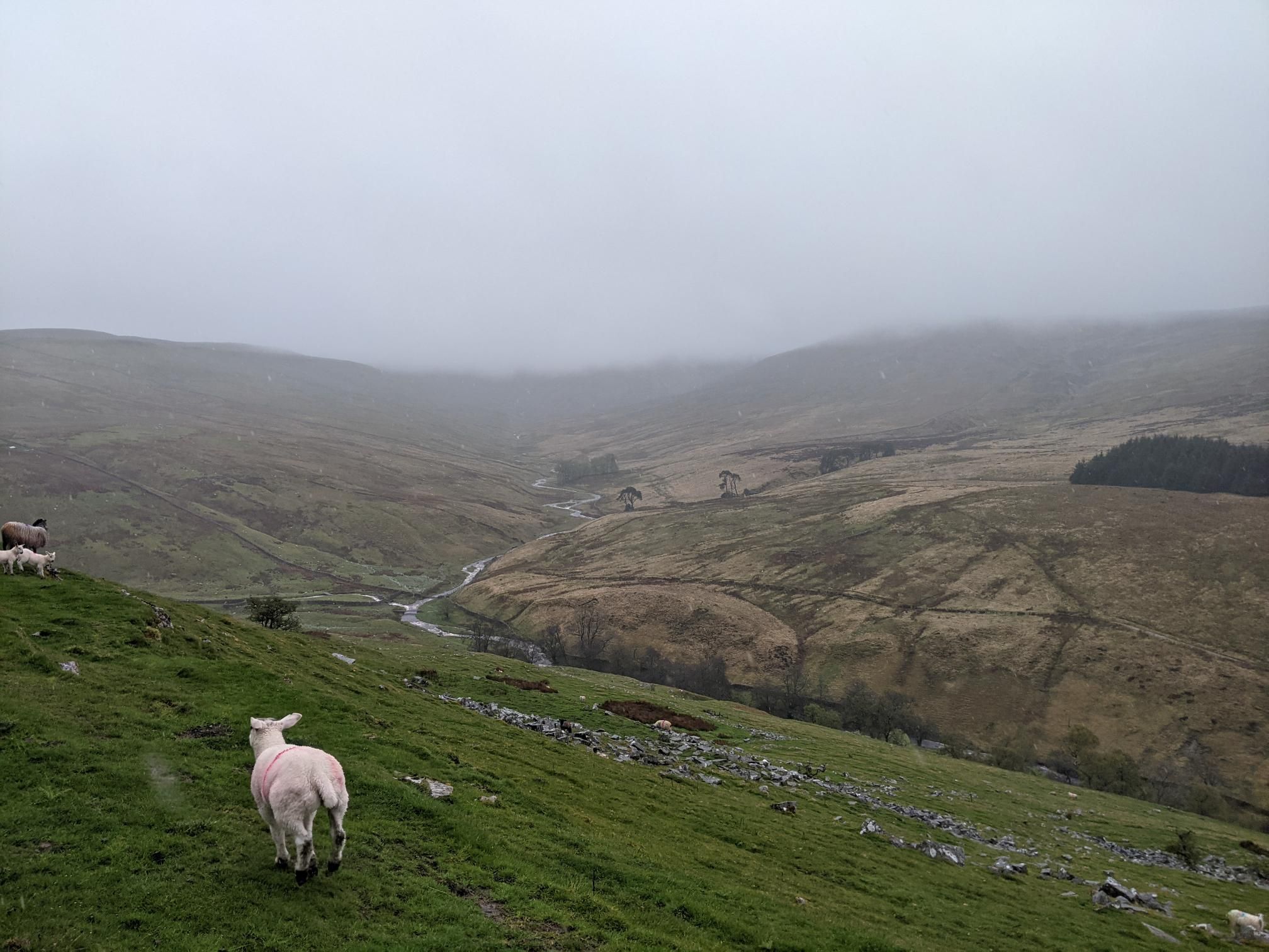 Very Wet Overnighter in Starling Busk photo 8