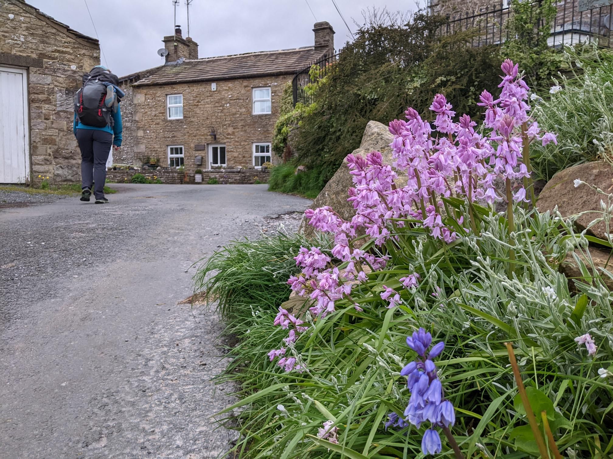 Herriot Way day 1 and 2 photo 12