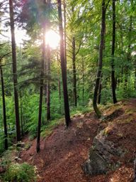 Sortie à vélo le soir