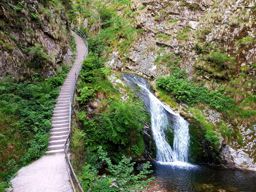 Promenade à Allerheiligen