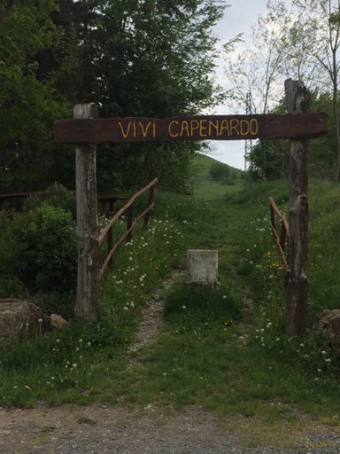 Rave Parties a Go-Go...