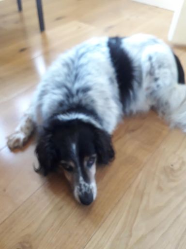 Gus knows I'm going out ....