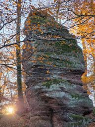 Dans les coins de Wuestenberg
