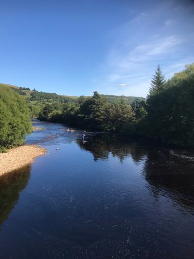 The Swale , looking good.