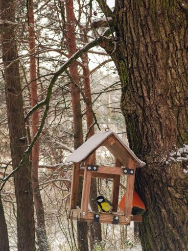 Птица (левая сторона)