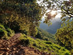 Pic du cap Roux au soleil couchant