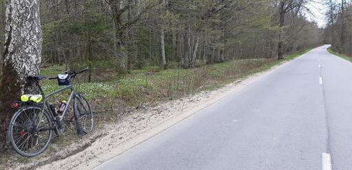 Между Черепаново и Щербинино. Путь на Ново-Бобруйск. Дорога 27А-027
Вел стоит в обратном направлении.