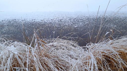 Etang des Grands Bois