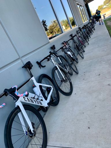 🚲 🚲🚲🚲🚲🚲🚲🚲🚲🚲🚲🚲🚲🚲🚲🚲