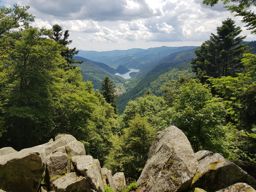 Wildenstein au Rainkopf