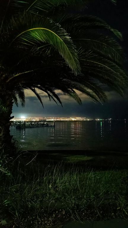 Facturando monotonía 🌒