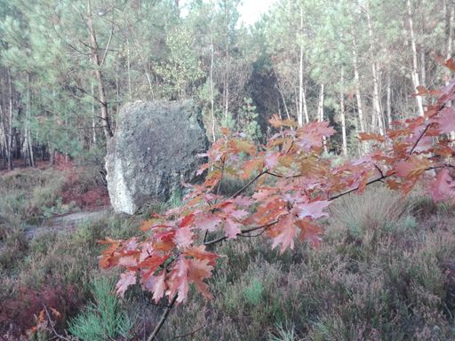 Automne et dolmen