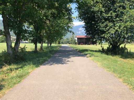 Wide open bike lanes.
