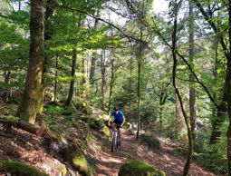 VTT Grendelbruch Rosheim Barr Neuntelstein