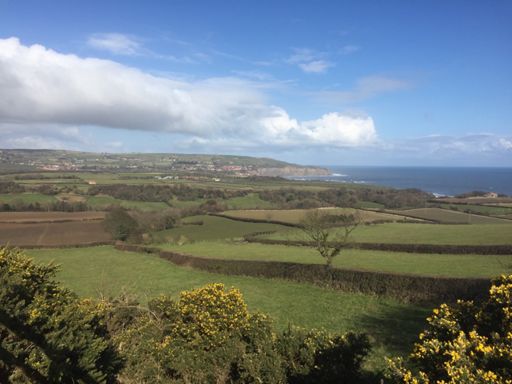 Great place to train. Robin Hoods Bay behind me