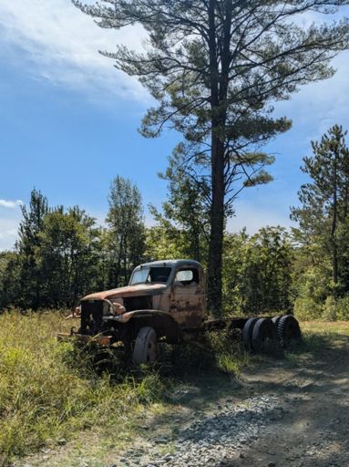 So many vibes in the hills