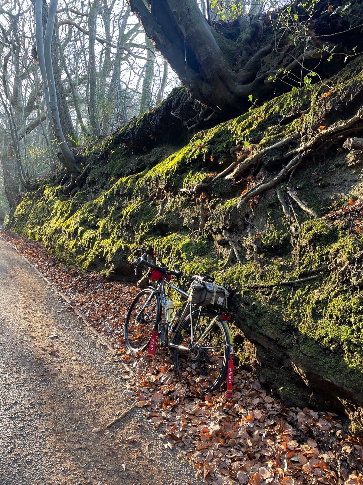 I like to stop here and take a photo 