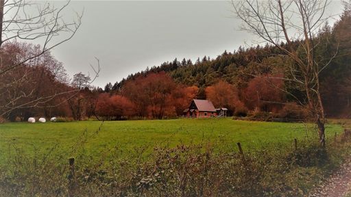 Die Mühle von Gösenroth