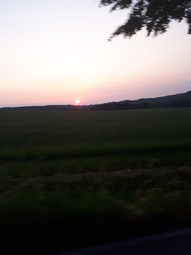 Die letzten wärmenden Strahlen erhaschen