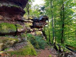 La Hoube Wuestenberg