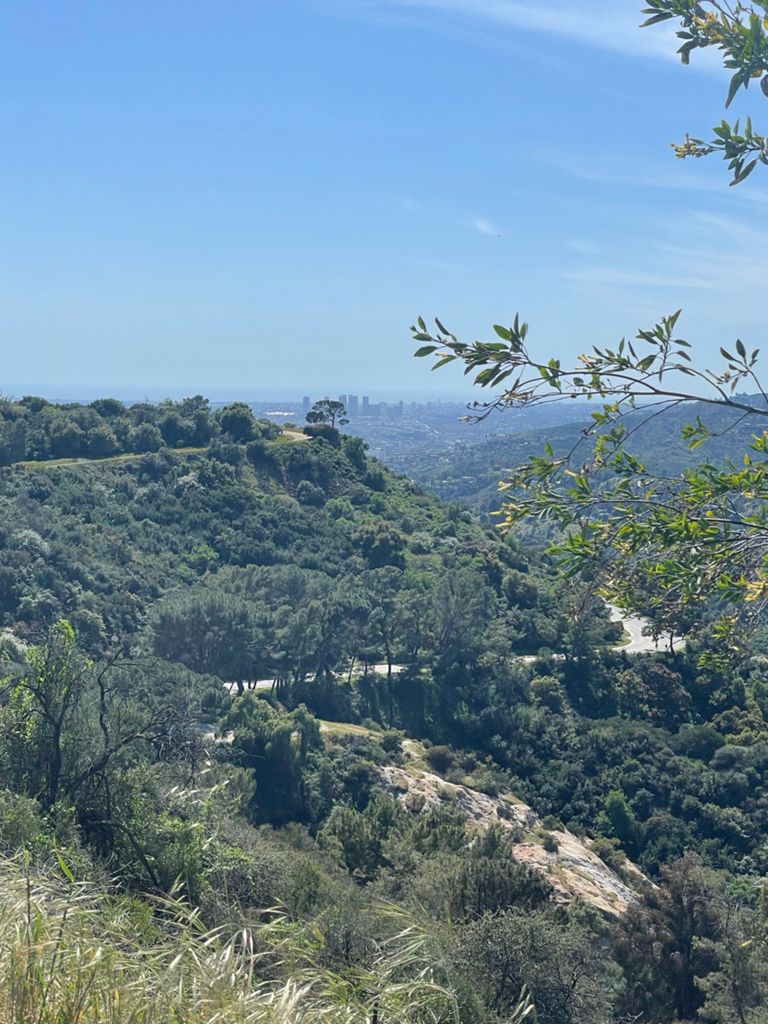 NBB run - Lake Hollywood: фото 112