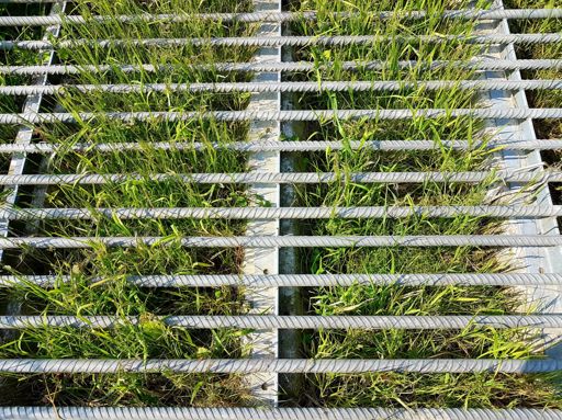 Gevecht tussen staal en gras