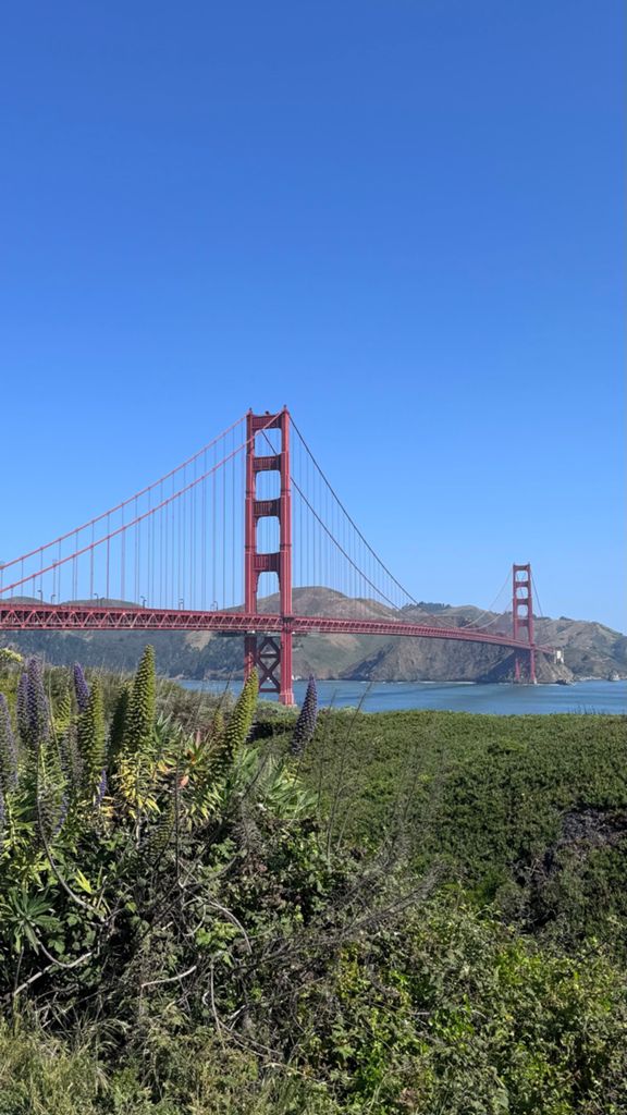 Butterlap (Presidio & Golden Gate Park) photo 139