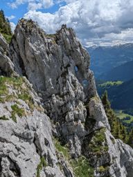 Chöpfenberg Tierberg