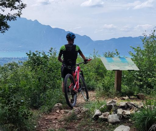 La dent du chat et le lac du Bourget depuis Parchale