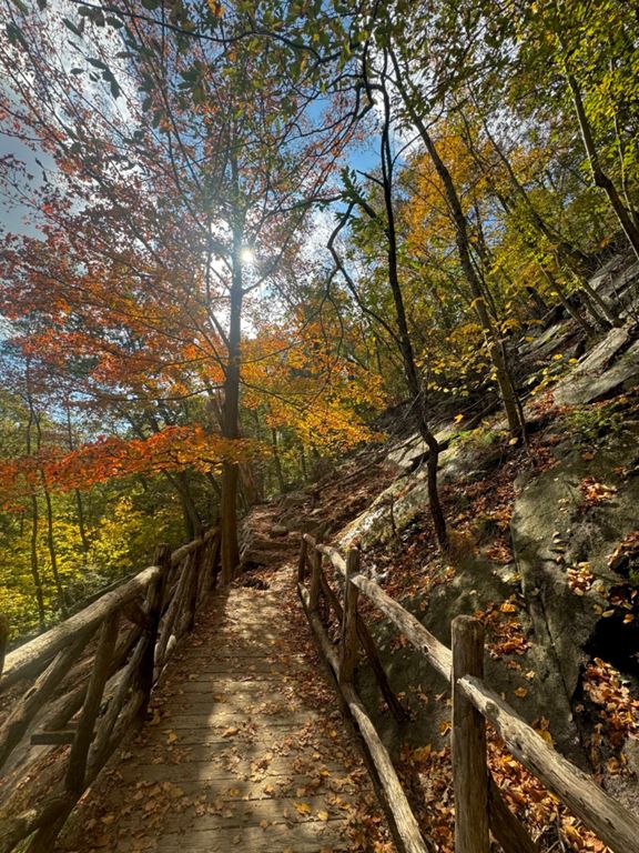 Foto de Bear Mountain Loop 3