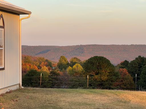 Fall colors 