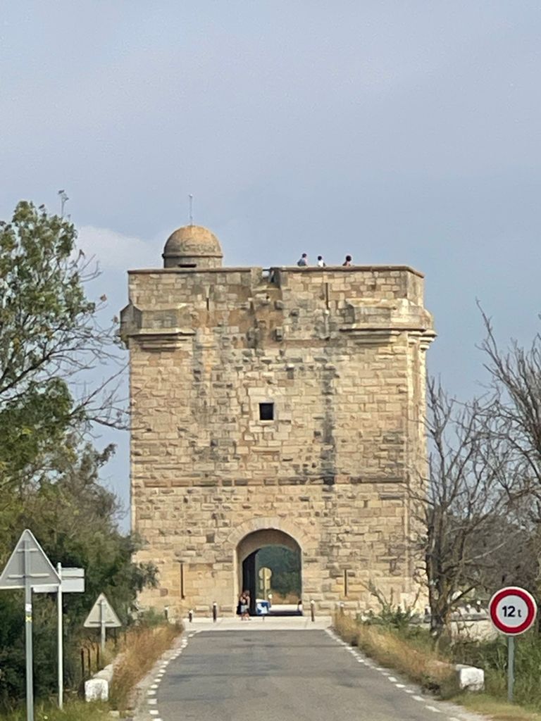 La Tour Carbonière 26, photo 46