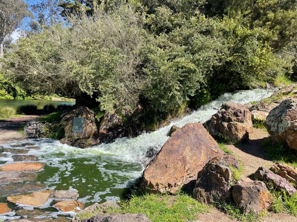 Butterlap (Presidio & Golden Gate Park) photo 96