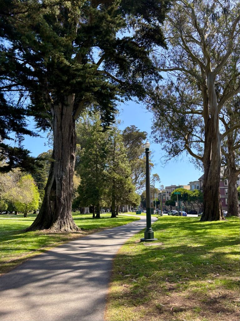 Butterlap (Presidio & Golden Gate Park) photo 115