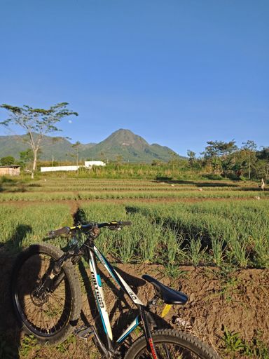 Jalibar i'm coming,. 😬