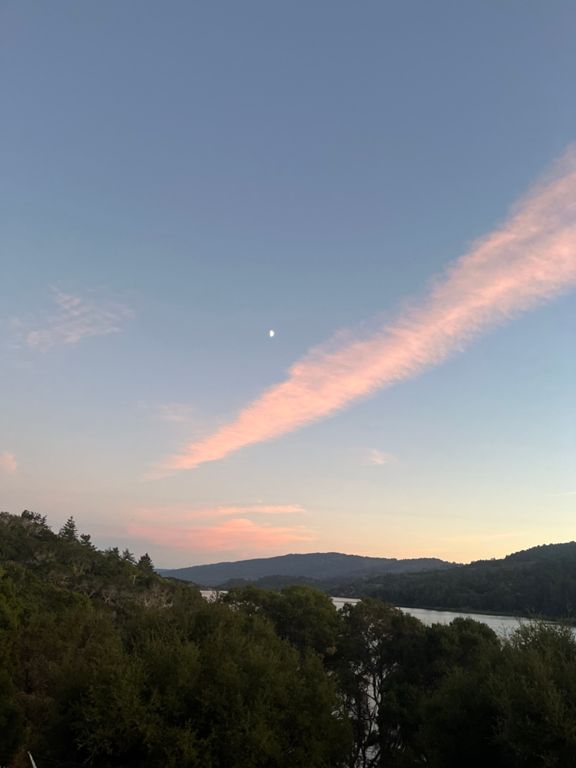 Sawyer Camp Trail 11.8 mi Trail Running Route on Strava