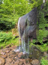 Cascade des Molières et Sapin sec