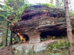 Lamproy, Grand Rougimont, Grand retour