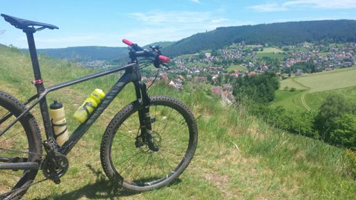 Baiersbronn von oben