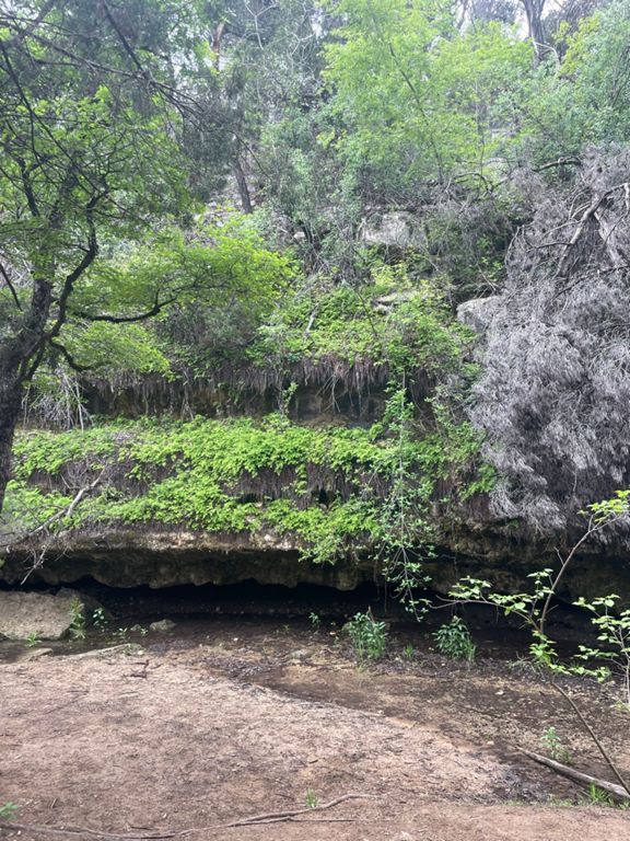 Foto Turkey Creek Trail 2