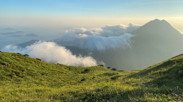 «» — фото 5