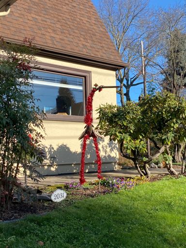 This fancy Christmas crane thing