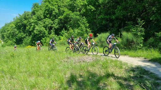 www.strava.com